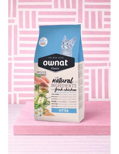 Ownat classic kitten