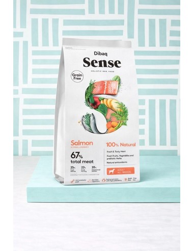 Dibaq Sense grain free salmón